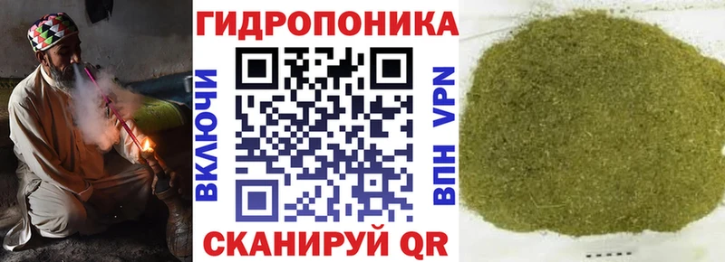 как найти наркотики  Цоци-Юрт  Конопля AK-47 